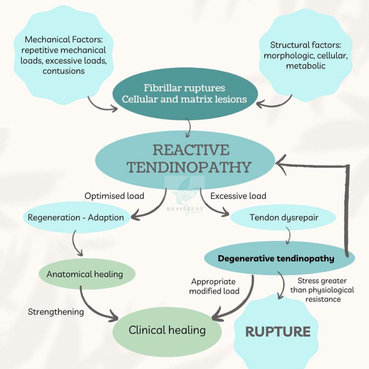 Resilient_Health_Adelaide-tendinopathy_flow_chart-shoulder_pain-elbow_pain-achilles_pain