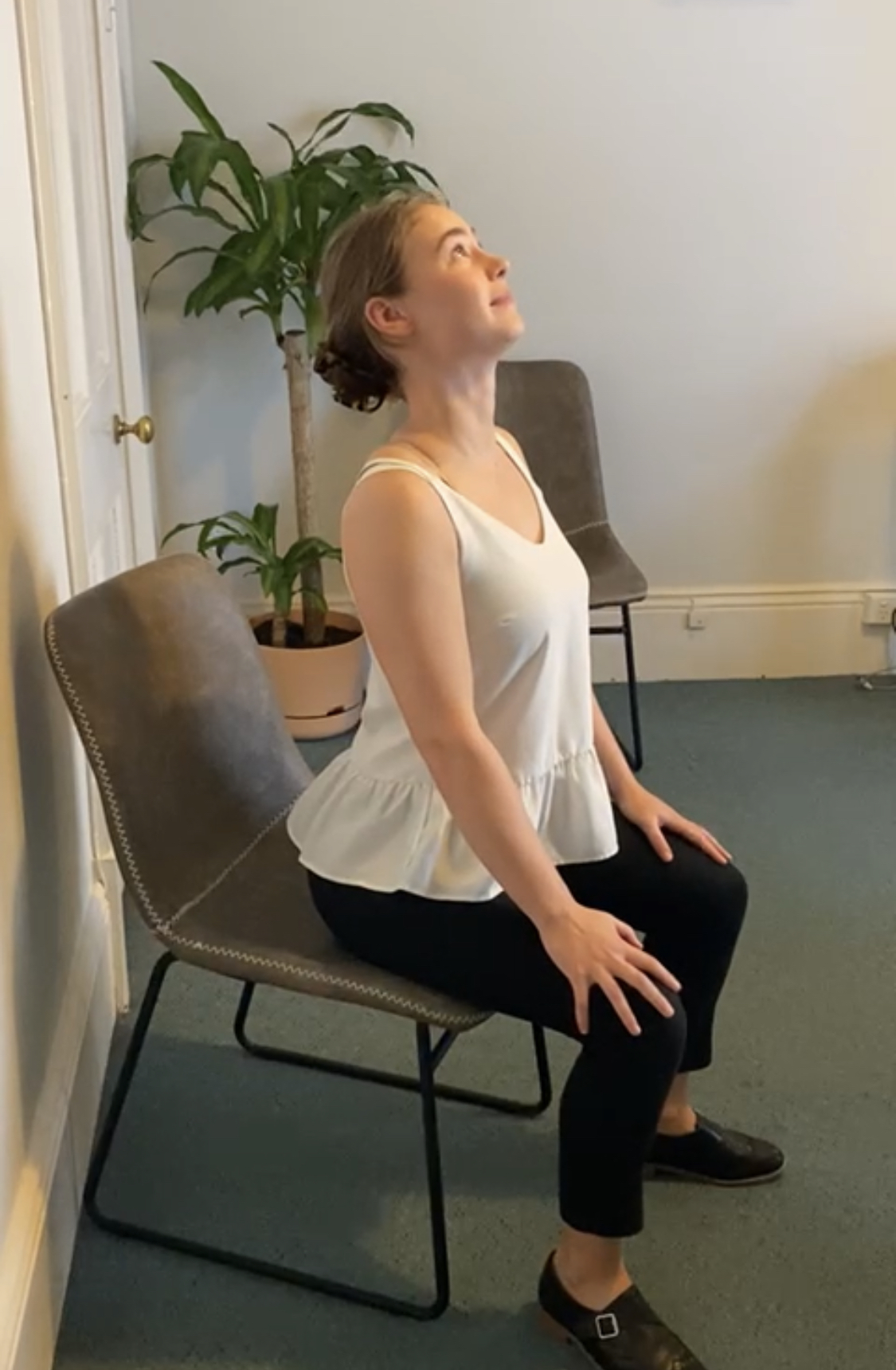 adelaide osteopath resilient health chiropractor massage osteopathy cat camelchair3