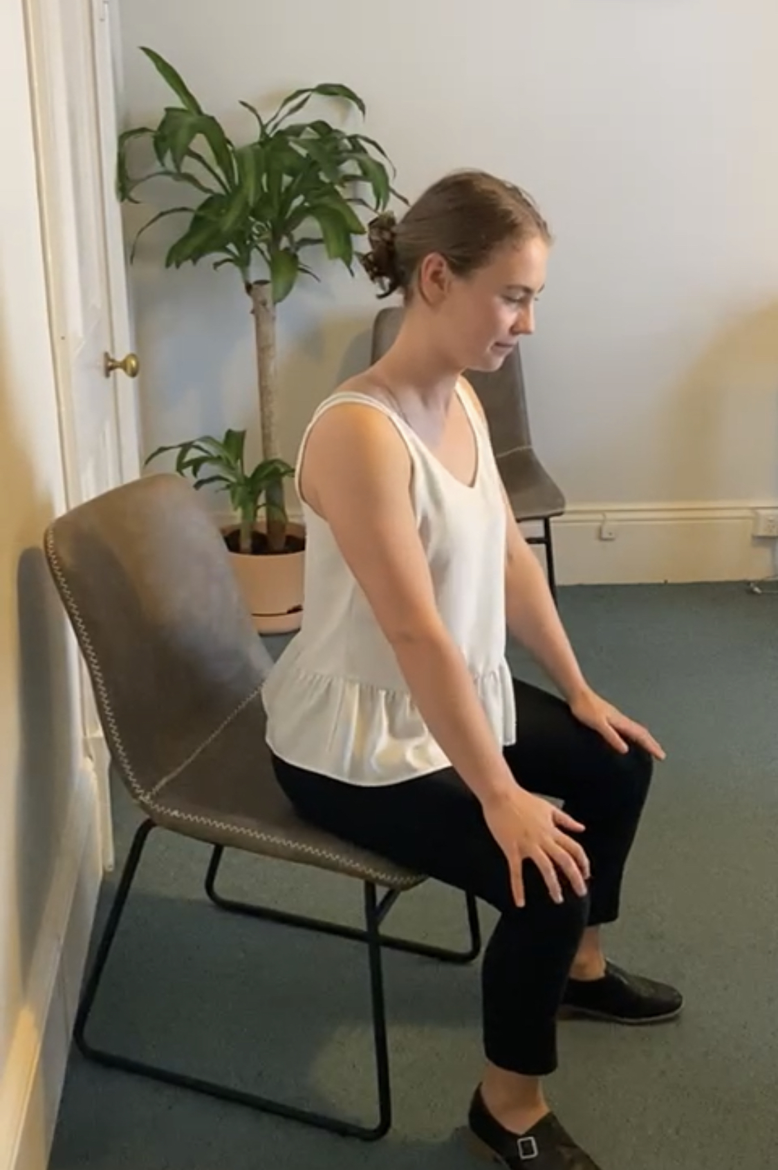 adelaide osteopath resilient health chiropractor massage osteopathy cat camelchair5