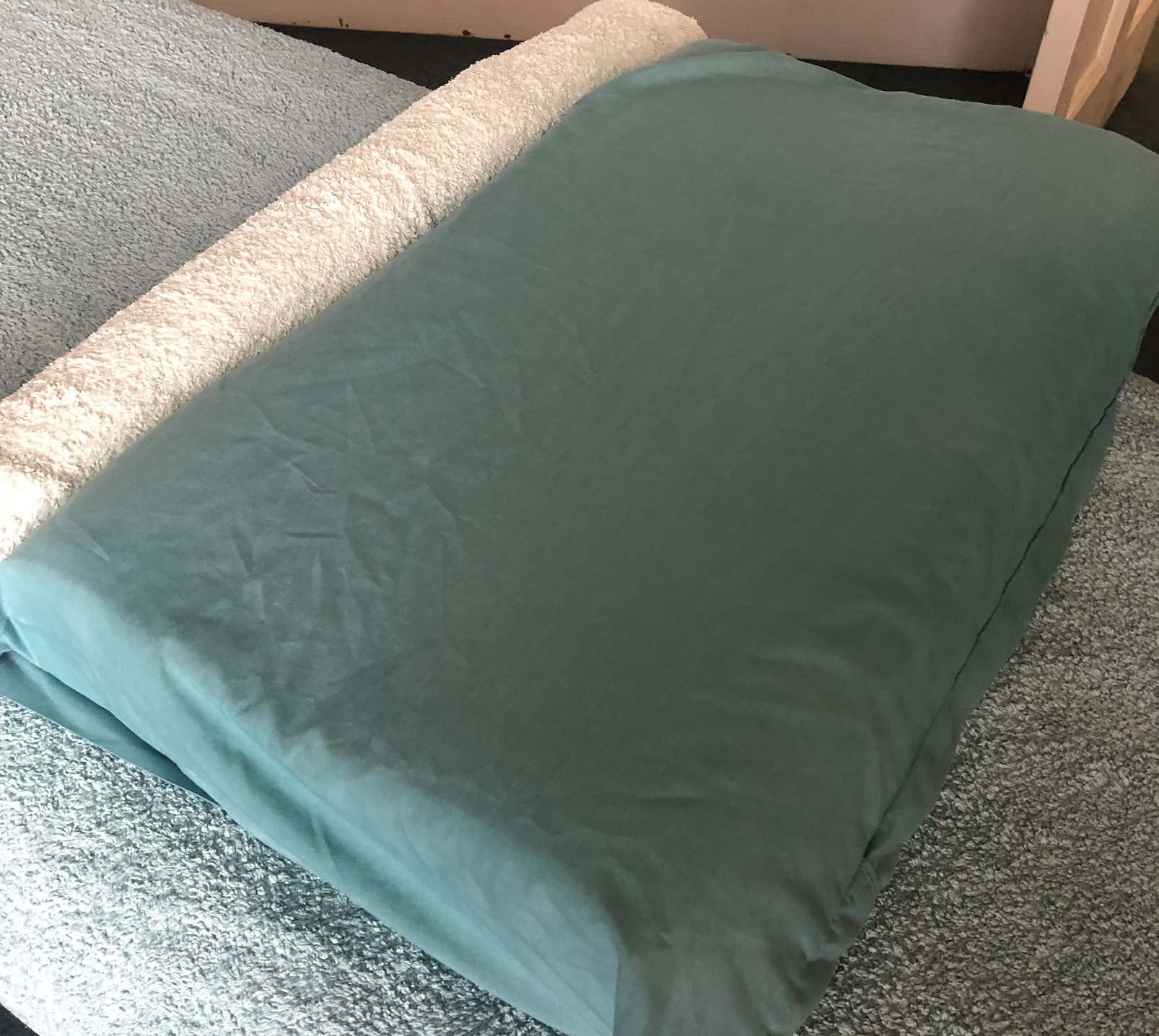 pillow resilient health 2